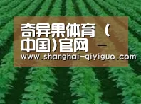 种植基地六(图1)