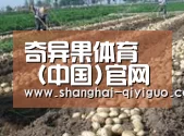 种植基地八