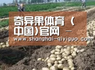 种植基地七(图1)