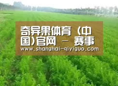 种植基地四