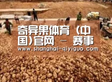 种植基地二