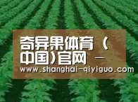 种植基地六