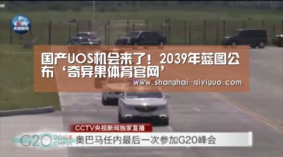 奇异果体育直播